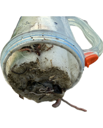 Filtre piège feuille Easyfilter pour balai aspirant piscine