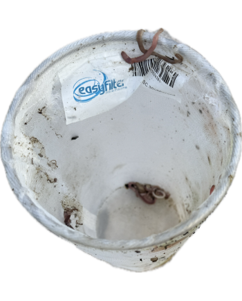 Filtre piège feuille Easyfilter pour balai aspirant piscine